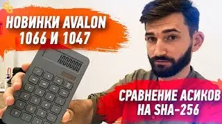 #Обзор Avalon A1066 и A1047 / Сравнение Асиков на SHA-256