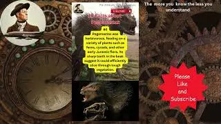 10 Facts About Pegomastax #dinosaurs #history #animals #reptiles  @TheArchimedesFiles