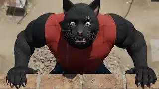 A Smart Cat Who Outsmarted Everyone | Cat Story