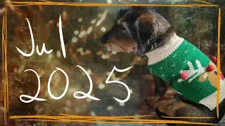 Juleferien 2025! °∆°