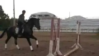 MOV075