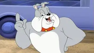 Tom y Jerry en Espa&ntilde;ol | Jackhammered Cat + Little Quacker | Dibujos animados para ni&ntilde;os