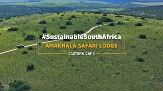 Amakhala Safari Lodge: A Sanctuary for Wildlife & Community