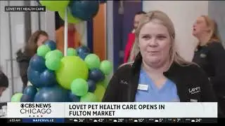 CBS Coverage - Chicago Fulton Market - Lovet Pet Health Care