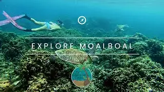 La Concepcion Cove Garden Resort Moalboal