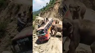 Terrifying: Elephant CRASHES Into Tourist Bus on Narrow Cliff | AI Wildlife Clip