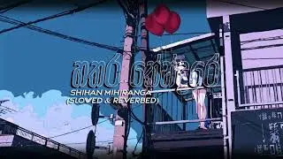 Shihan Mihiranga - Hathara Kendare (හතර කේන්දරේ) Slowed & Reverbed