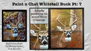 Paint n Chat: Whitetail Buck: Pt 7