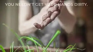 The most Sustainable Products in Amsterdam - Farmed Today