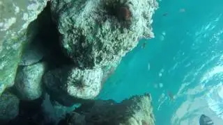 Freedive St Helena island