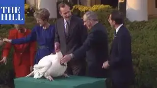 ALL of President George H.W. Bush's THANKSGIVING Turkey pardons