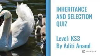 Inheritance and Selection Quiz - Level KS3