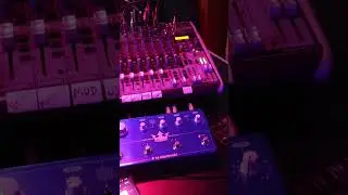 Riffing on the Monologue and Minibrute #synth #dawless #hardwarejam
