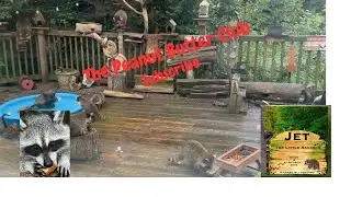 Cheeky Boo back again. Peanut Butter Club Daily Diary