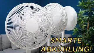 Xiaomi Ventilatoren im Test: DAS sind die besten!