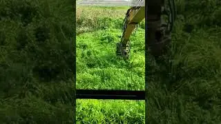 Twisting Water Weeds: How a Simple Rotation Clears Waterways