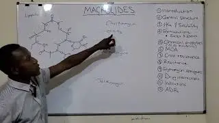 Macrolides chemistry part 3 (MOA, cross resistance, DI, indications and ADRs)