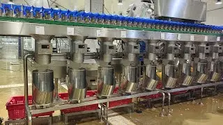 Box-type Sorting Combination Scale for Frozen Chicken Leg