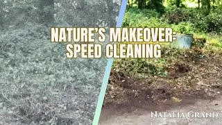 From Overgrown to Serene  Speed Cleaning My Private Forest