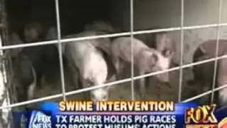 The Muslim Mosque and the Pig Farm Next Door