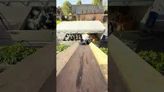 Property Clearance Is Different In The Netherlands 👌🏼 #trash #slide #netherlands #videocomingsoon
