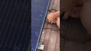 Solar Panels having bird protection mesh fitted #solarpv #solar