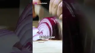 TOR: The Onion Router Explained