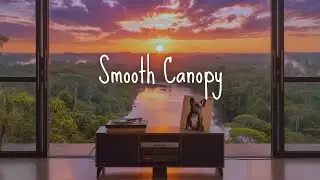 Smooth Canopy | Sunset Grooves, Uplifted Mind