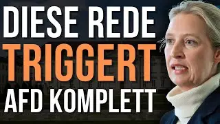 AfD-Meltdown: Wegen dieser Rede flippt die AfD spektakul&auml;r aus