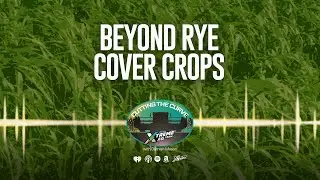 Farming Podcast | Cover Crop Strategies Beyond Rye | XtremeAg
