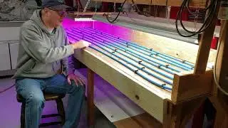 Indoor Grow - Propagation Bench