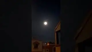 Bad Moon Rising#ccr #credenceclearwaterrevival #moonlight #moon #70s #shortsyoutube #shortsfeed
