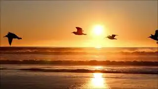 🌿Beautiful Relaxing Music🌿Healing Music For Health And Calming The Nervous System, Deep Relaxation