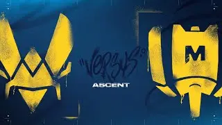 Vitality vs Mandatory - Split 2 - Day 17 - Regional League France : Révolution