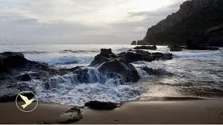 🌊 OCEAN WAVES FOR FULL NIGHT SLEEP ▶ 11 HOURS DEEP & STABLE 😴🌙