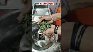 Moringa Leaf Grinder Machine