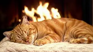 Cat Dream Sleep Music 432Hz 😻 Peaceful Fireplace Ambience For Soft Relaxation
