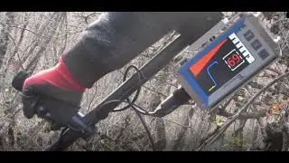 Я нашел десятки с металлоискателем