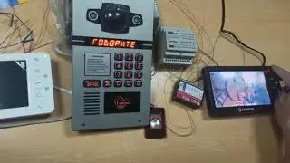 Адаптированные и неадаптированный мониторы