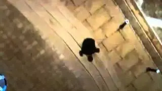 gta 4 bug xbox