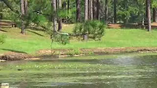 paul b  johnson stae park state of mississippi, america