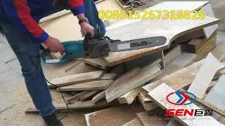 ELECTRIC CHAIN SAW