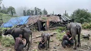 Life in the High Hills of Nepal | Rainy Days & Organic Village Living”