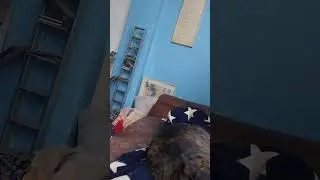 A reading from 