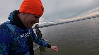 Diving and Exploring Jetty Island in the Puget Sound