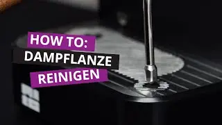 💨 MARO Model 1: Dampflanze reinigen &ndash; Hygienisch, einfach, schnell!