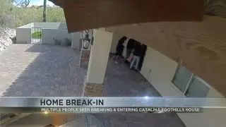 Catalina Foothills couple's home robbed, dog pepper-sprayed