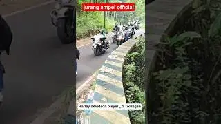 Harley devidson geber geber di tikungan