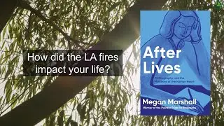 LA Fires | Hawthorne California | Megan Marshall | After Lives | Sophia Hawthorne | LA wildfires