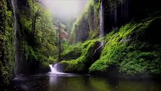 🔴 RECONNECT WITH NATURE  | DNA Repair-Whole Body Regeneration-CALM-Relax- PIANO- DEEP SLEEP